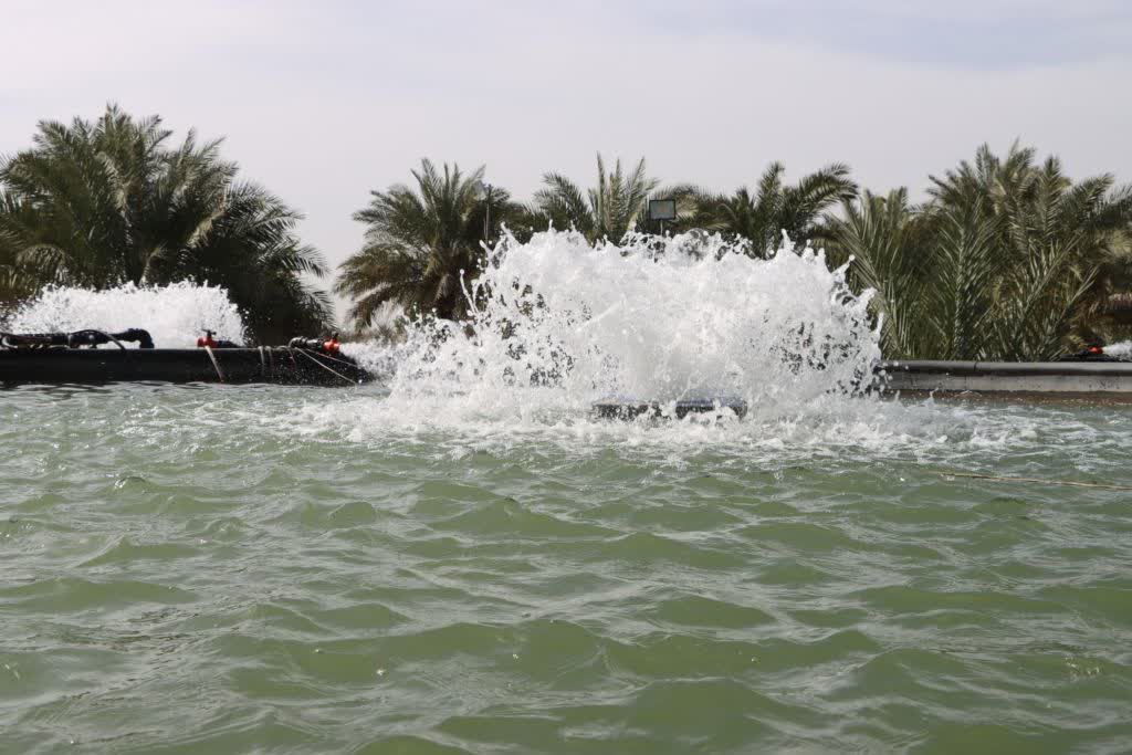 صدای دشت آزادگان